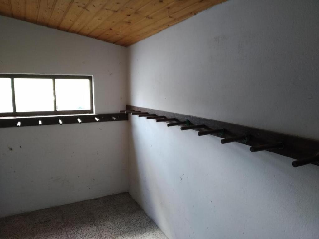 Apartmany Dolni Rokytnice Nad Jizerou Cp 37 Exteriér fotografie
